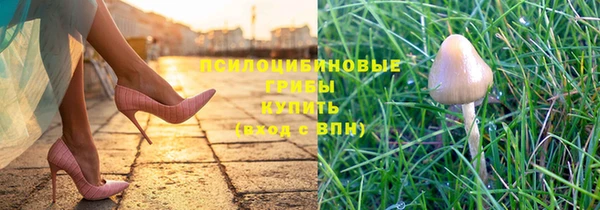 экстази Осинники